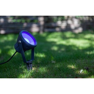 Anthrazitfarbener Lutec LED-Gartenstrahler Mini Leto mit Erdspieß und violetter Beleuchtung.