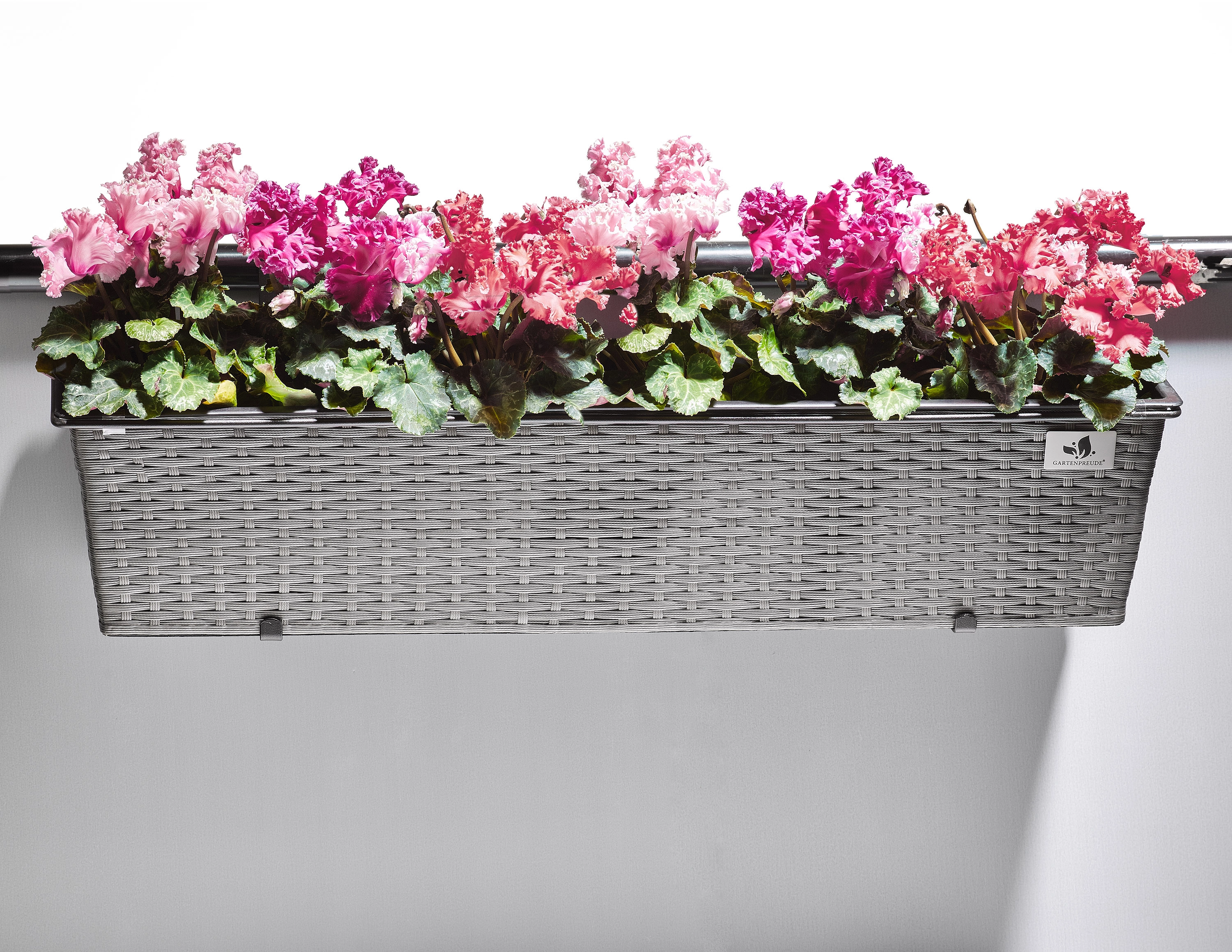 Gartenfreude Balkonkasten kaufen bei Bewässerungssystem cm 80 mit 19 cm OBI x Polyrattan Grau