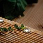 Paulmann Plug&Shine MicroPen II Einbauleuchten-Set, warmweiß, für stimmungsvolle Außenbeleuchtung.
