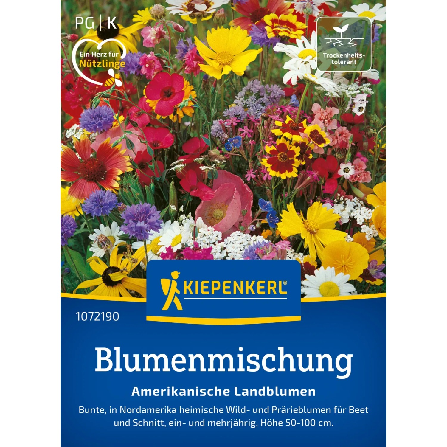 Wildblumen amerikanische Landblumenmischung