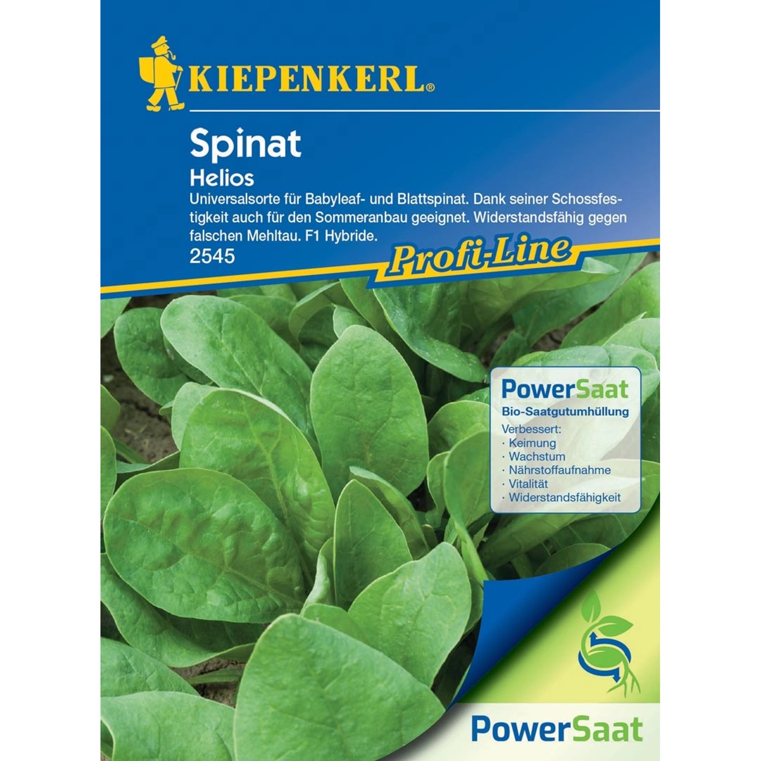 Kiepenkerl Spinat Helios (Spinacia oleracea)