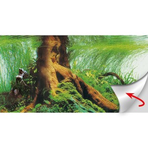 Selbstklebende Aquarium Fotorückwand mit Unterwasserlandschaft, großer Baumwurzel und grünen Pflanzen. Zeigt abziehbare Folie.