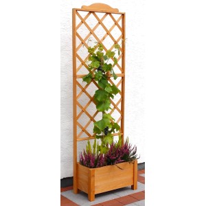 Holz Pflanzkasten Botanica mit Rankgitter, 210x69x32cm, bepflanzt mit Kletterpflanze und Heidekraut.