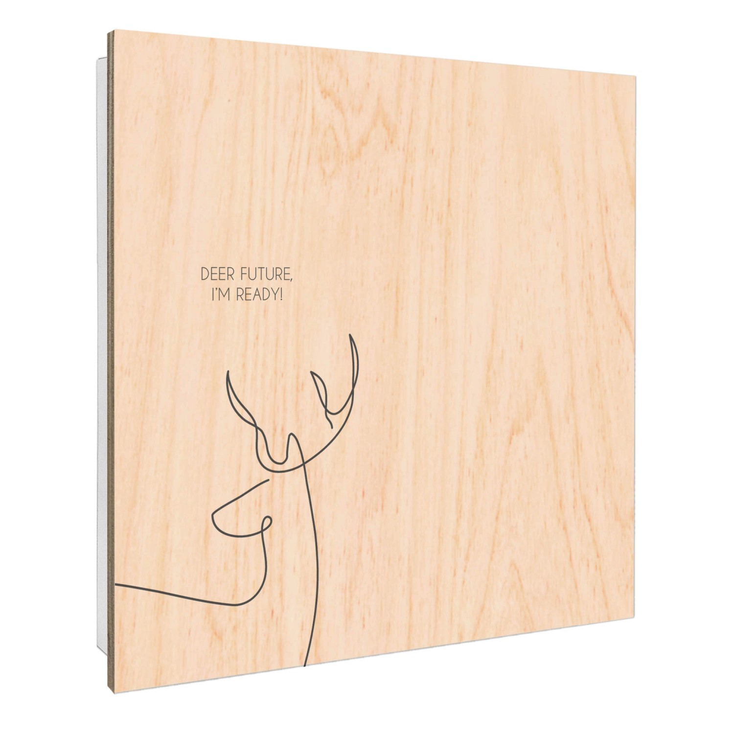 Banjado Schlüsselkasten mit Holzfront 30x30cm Weiß Scharnier Links 50 Haken günstig online kaufen