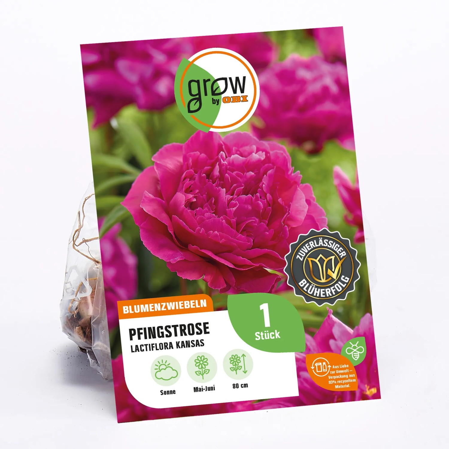 Verpackung der GROW by OBI Pfingstrose Lactiflora Kansas mit dunkelrosa Blüte.