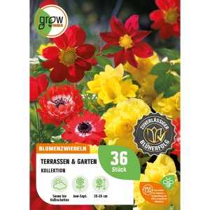 GROW by OBI Terrassen- und Garten-Kollektion, Blumenzwiebeln mit roten und gelben Blüten.