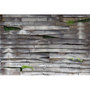 Erismann Vlies Fototapete Timber Grau, Motiv verwitterte Holzbretter mit Pflanzen, 400x270cm.