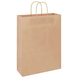 vidaXL Papiertragetaschen 50 Stk mit Henkeln Braun 32x12x42 cm 4101578