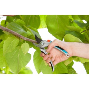 Gardena Gartenschere B/L Alu im Einsatz: Hand schneidet Ast mit Bypass-Schneideprinzip.