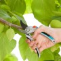 Gardena Gartenschere B/L Alu im Einsatz: Hand schneidet Ast mit Bypass-Schneideprinzip.