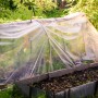 Transparente Aquagart Gartenfolie als Frühbeet über einem Gemüsebeet.