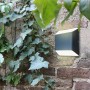 Moderne Eco-Light LED-Aussenwandleuchte Floyd, anthrazitfarben, an einer Backsteinmauer mit Efeu.