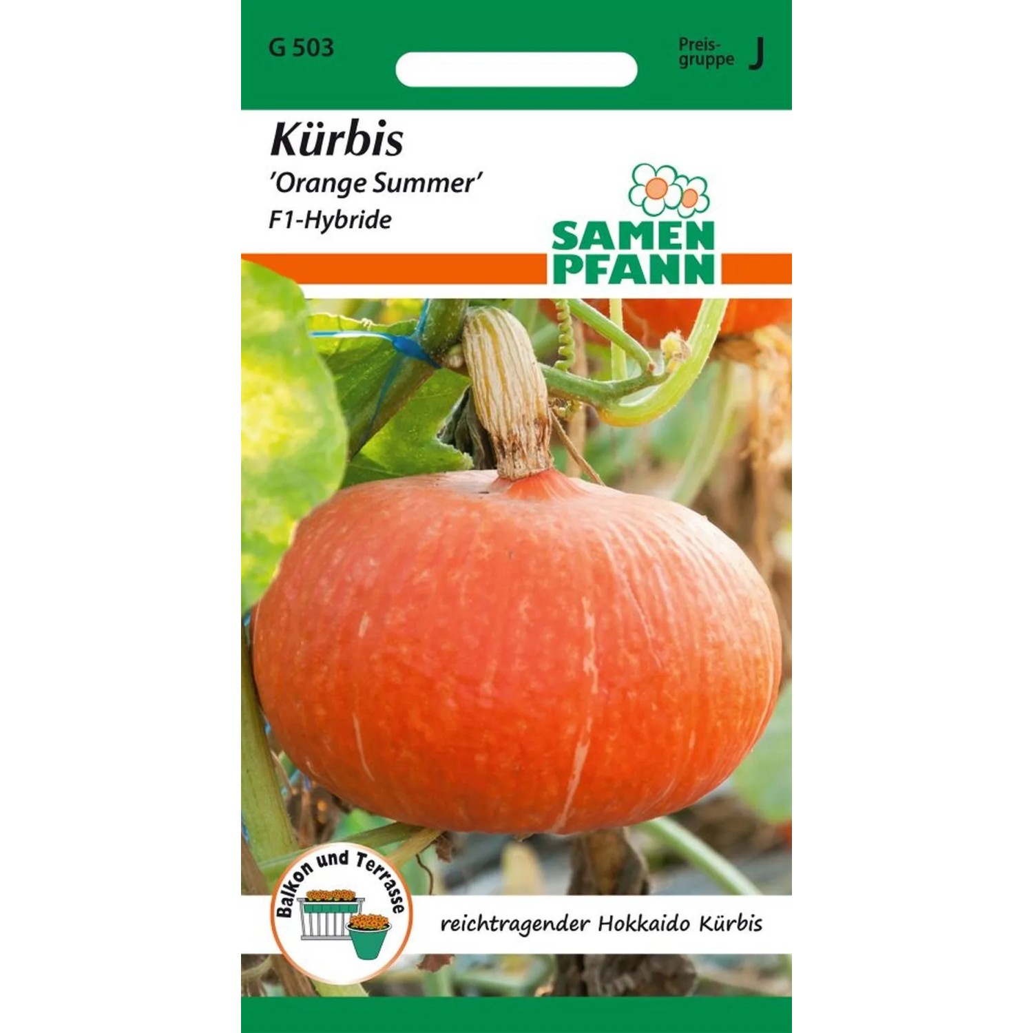 SAMEN PFANN Kürbis Orange Summer F1 Hokkaido-Kürbis