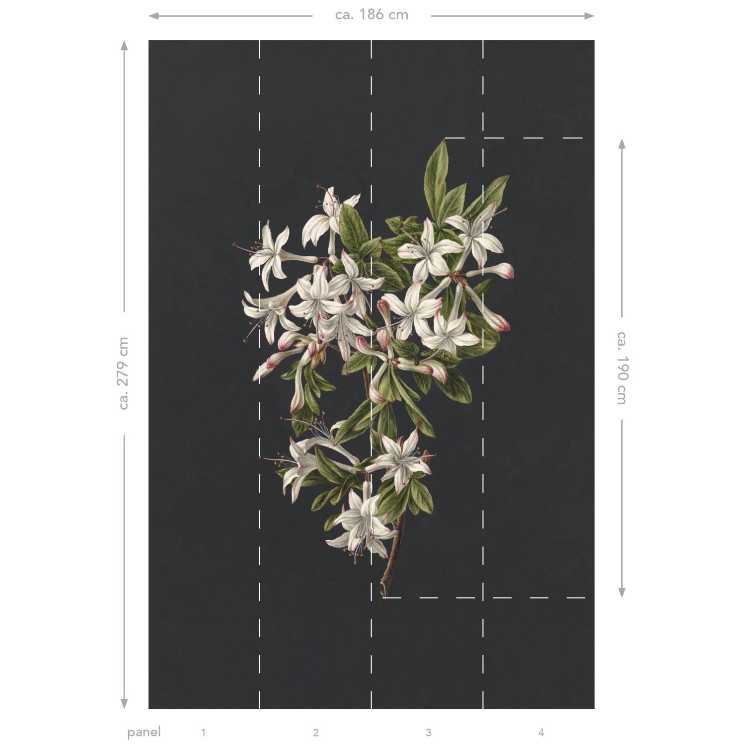 ESTAhome Fototapete Blüte Hellrosa und Schwarz 1,86 x 2,79 m 158885 günstig online kaufen