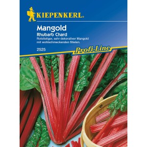 Kiepenkerl Mangold Rhubarb Chard Saatgut mit roten Stielen und grünen Blättern.