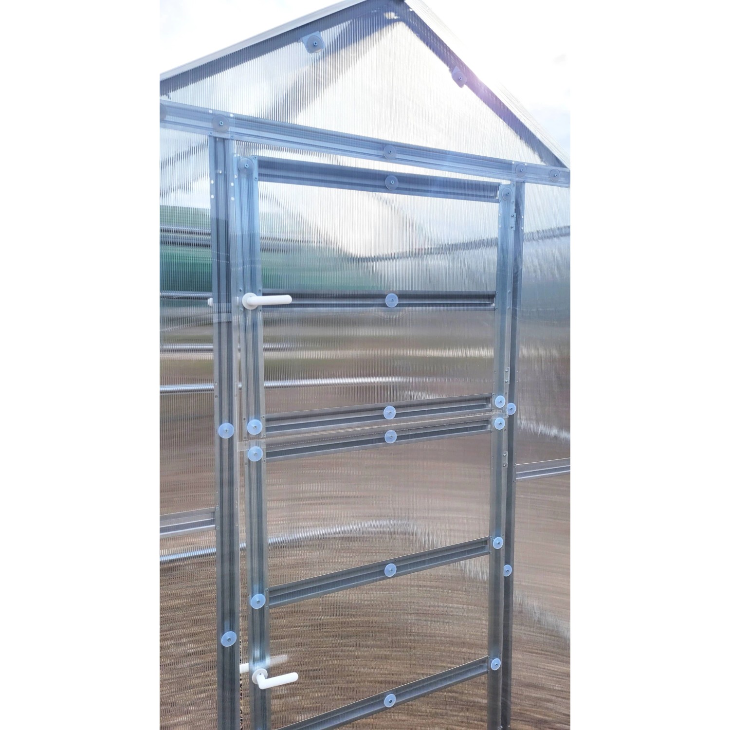 Detailansicht: Klasika Gewächshaus Tür mit Polycarbonat-Abdeckung.