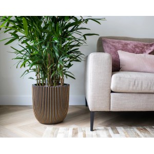 Capi Kugel Pflanztopf Groove, Ø 43cm, Gold-Schwarz, gerillte Oberfläche, mit Pflanze neben Sofa.