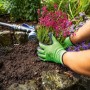 Grüne Gartenhandschuhe mit Latex-Teilbeschichtung (Größe 7) beim Einpflanzen einer Pflanze.