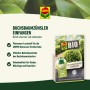 Compo BIO Buchsbaumzünsler Lockstoff, 4 Stück. Pheromon-Falle zur Befallskontrolle im Garten.