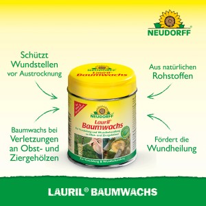 Neudorff Lauril Baumwachs, 125g Dose für Wundverschluss und Veredelung an Bäumen und Sträuchern.