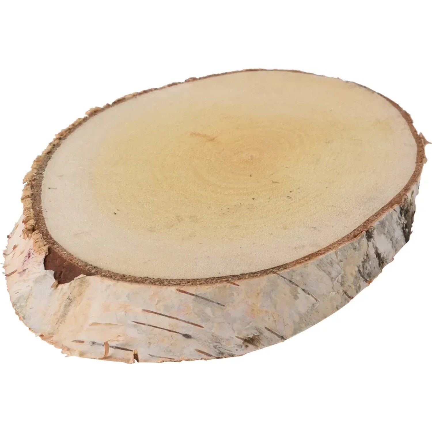 Deko Baumstammscheibe Oval 25 - 30 cm x 12 - 17 cm
