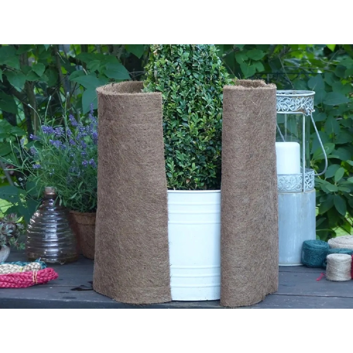 Kokosfaser Winterschutzmatte 150x50cm für Pflanzen im Garten.
