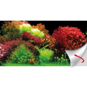 Selbstklebende Aquariumrückwand mit farbenfroher Unterwasserlandschaft und Pflanzen. Ecke zeigt Klebefläche.