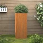 Hoher, rostiger Cortenstahl Pflanzkübel mit grüner Pflanze im Garten vor Holzzaun. Ideal für Terrasse & Balkon.