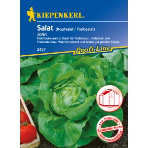 Samenpackung Treibhaus Kopfsalat John, grüne Salatköpfe im Vordergrund.