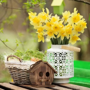 Relaxdays Vogelhaus Holz Natur Gebrannt 28,5 cm x 19 cm x 10,5 cm 0,3 kg