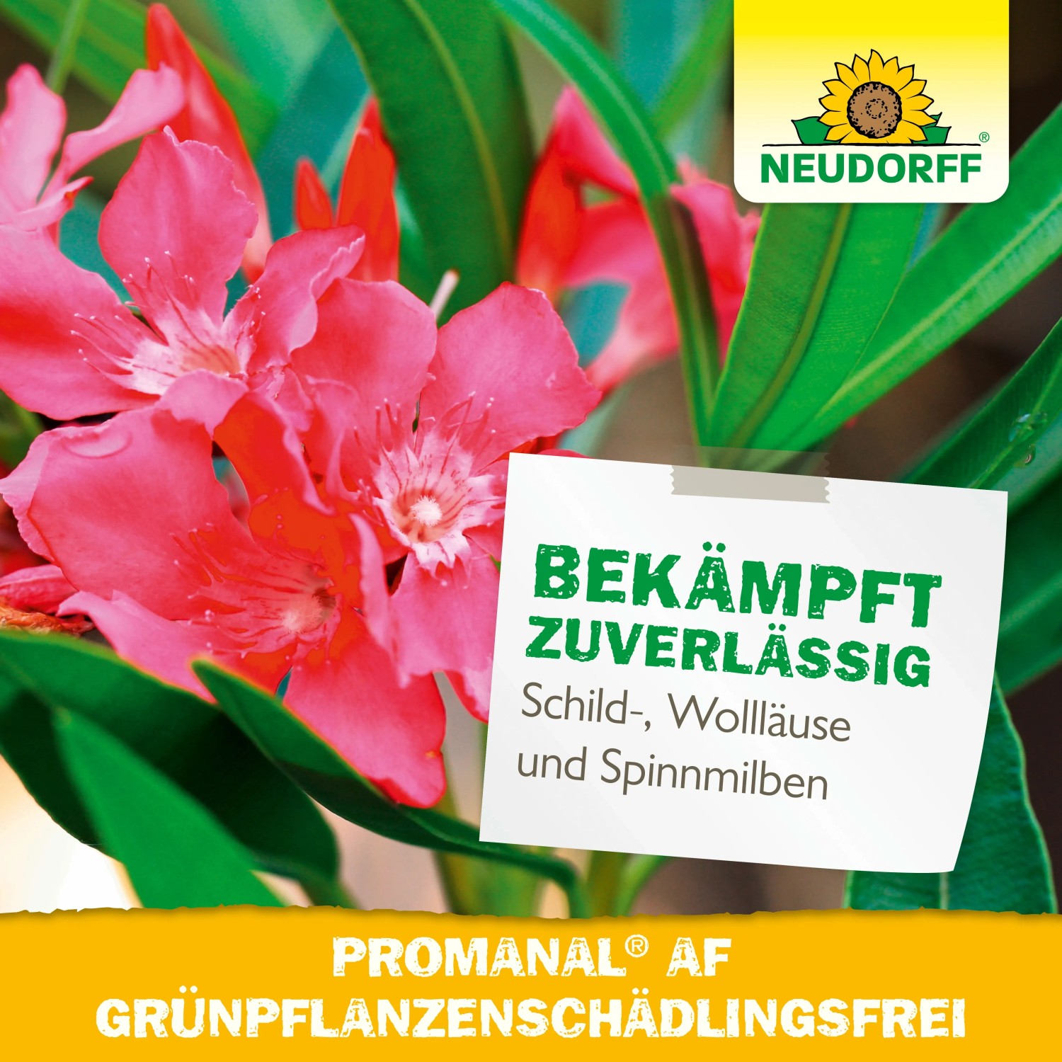 Neudorff Promanal AF gegen Schildläuse und andere Schädlinge an Grünpflanzen.