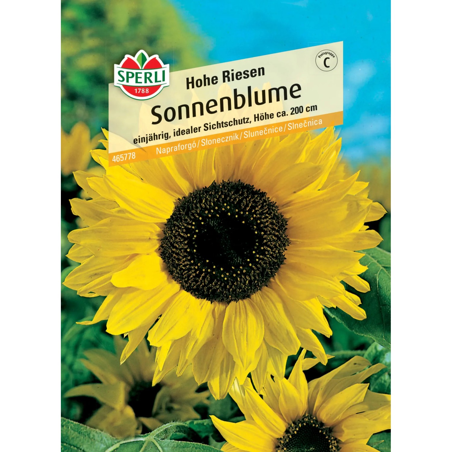Samenpackung Sperli Sonnenblume Hohe Riesen, gelbe Blüte mit dunklem Kern.