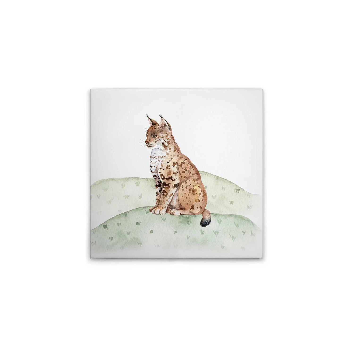 Tadessi Leinwandbild - M1-No.50621 - Waldtiere - 40 x 40 cm - Quadratisch