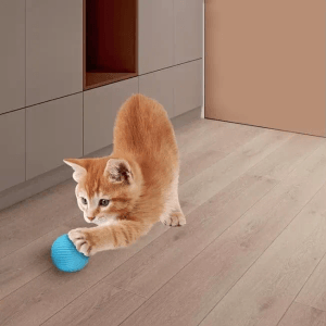 PETSATION Interaktives Katzenspielzeug