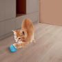 PETSATION Interaktives Katzenspielzeug_2