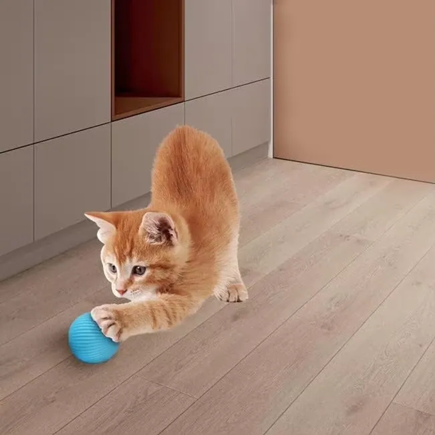PETSATION Interaktives Katzenspielzeug_2