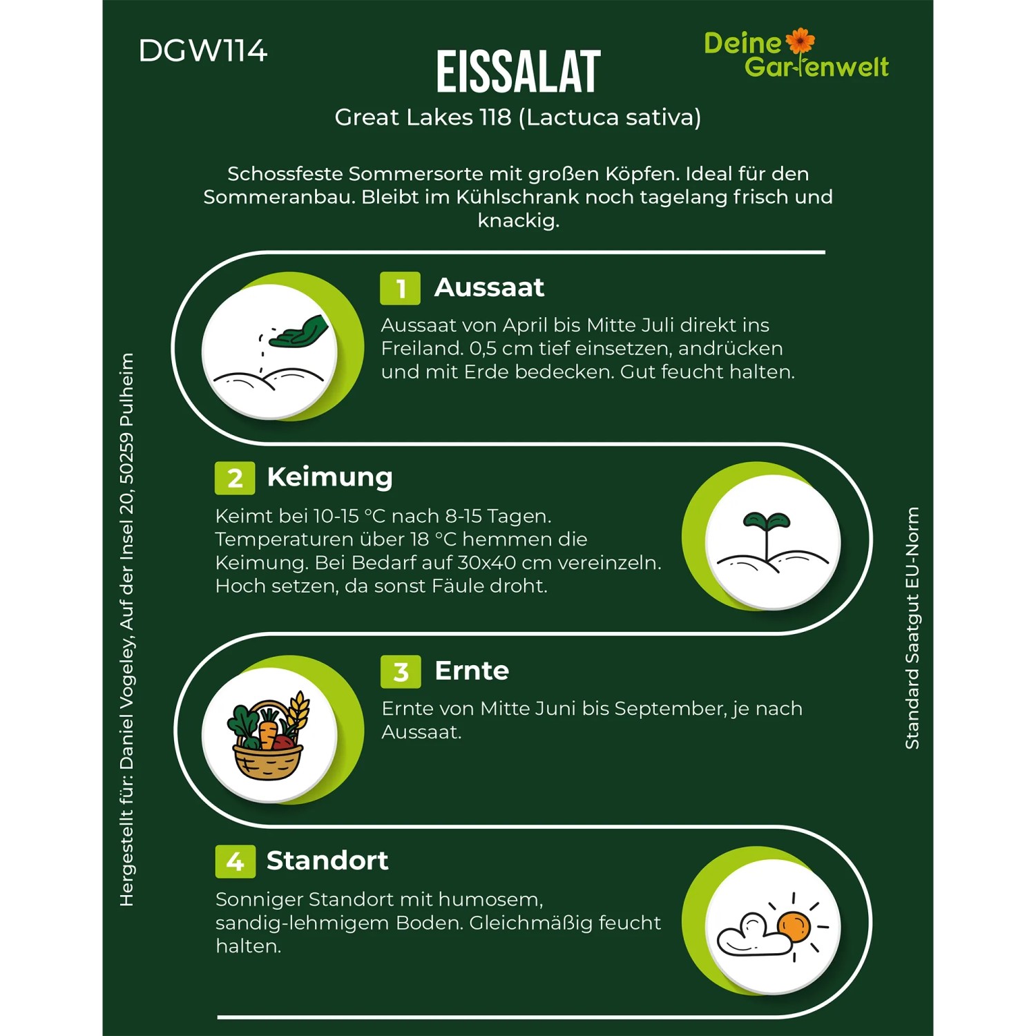 Infografik Eissalat Great Lakes 118 Samen: Aussaat, Keimung, Ernte, Standort. Blattgemüse Anbauanleitung.