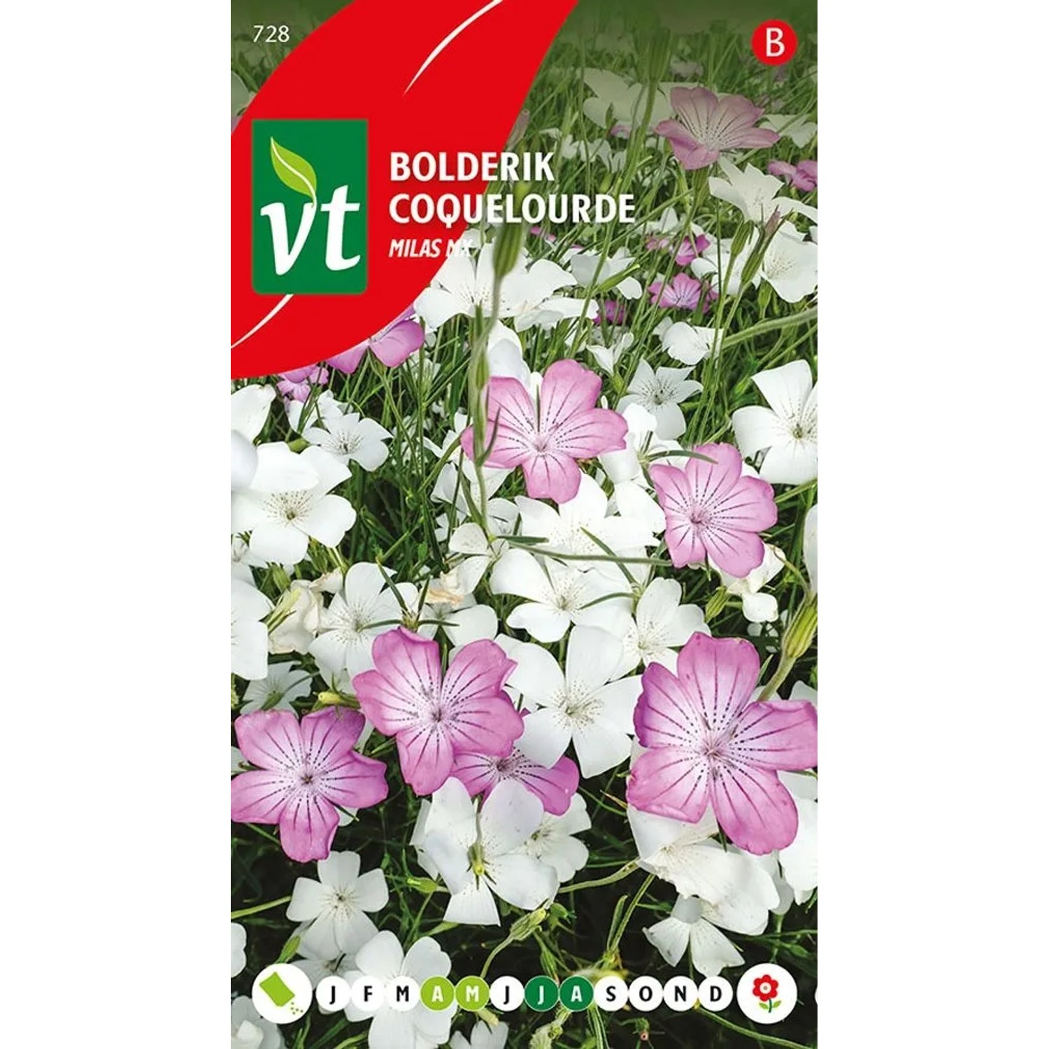 Kronen-Lichtnelke Mix Samen Ca. 1,5 g Bunte Blüten