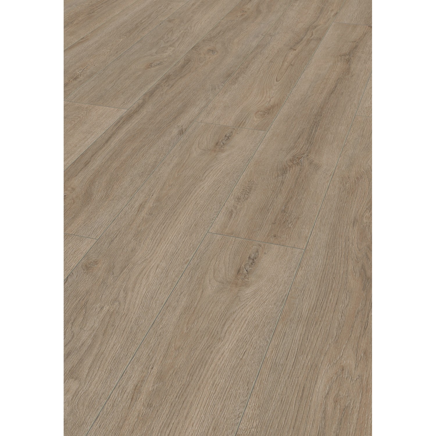 Jangal Laminatboden Oak National Park Line Pro Redwood günstig online kaufen