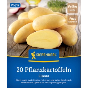 Kiepenkerl Pflanzkartoffel Cilena, 20 St