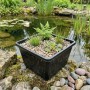 Vdvelde Teichkorb   5 Stück 19x19x10 Cm   Quadratische Körbe Für Wasserpflanze_3