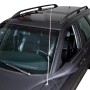 OBI Teleskopantenne in Chromoptik am Kotflügel eines Autos.