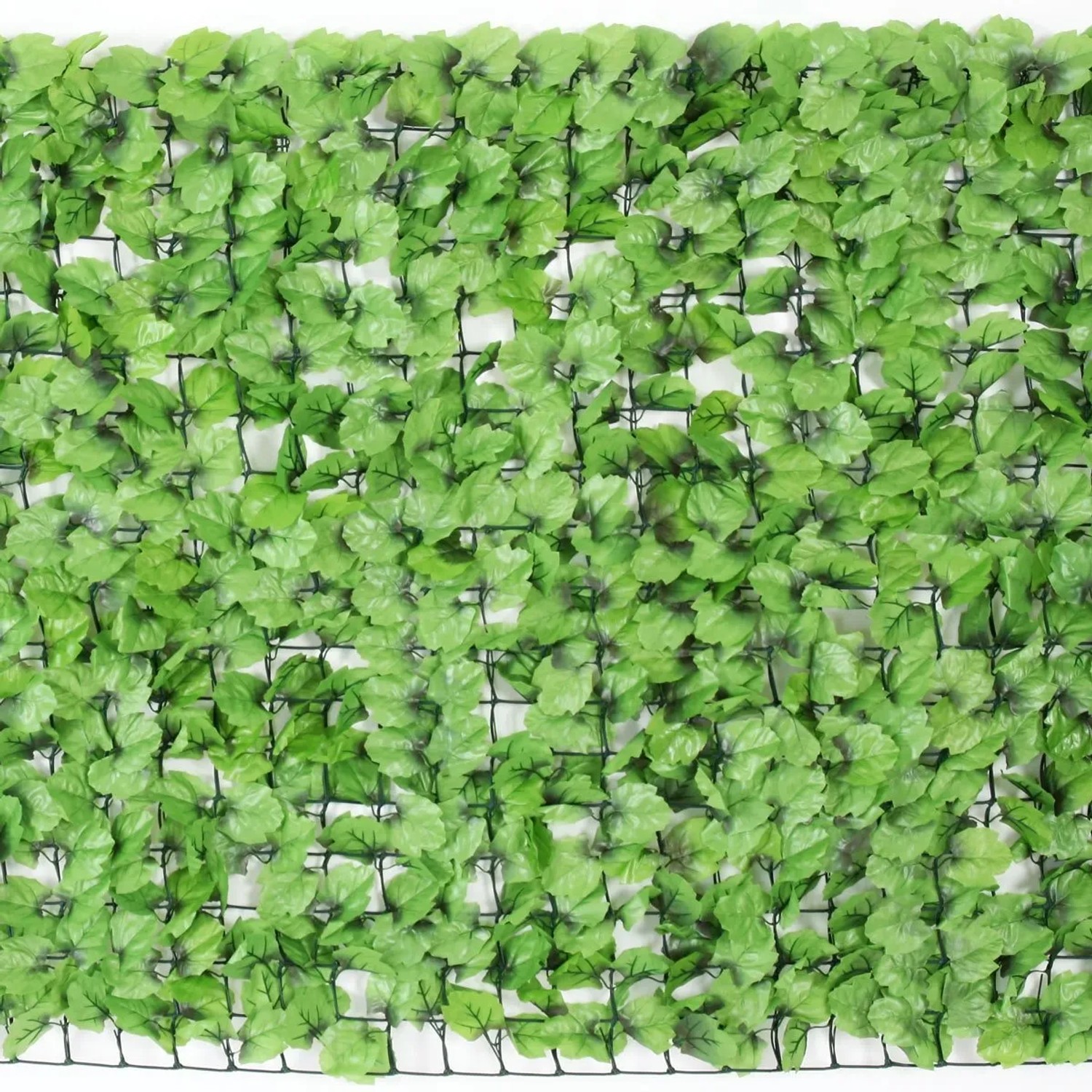 PROREGAL Balkonsichtschutz 100x300x1cm Zaun Blatt Hell_6