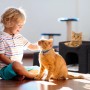 Kind streichelt Katze vor schwarzer Relaxdays Katzenhöhle mit 3 Liegeplätzen. Eine zweite Katze liegt in der Höhle.