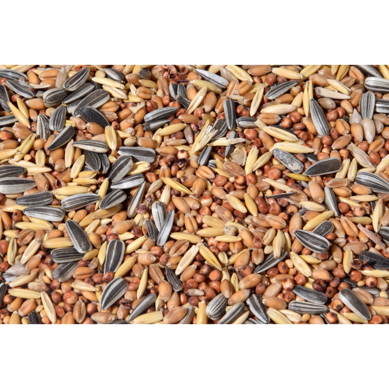 Streufutter 20 kg Vogelfutter-Beutel