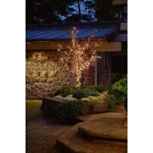 Konstsmide Micro-Lichterkette mit 120 warmweißen Lichtern an Baum im Außenbereich.