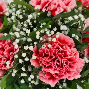 Blumenstrauß 'Schwärmerei' mit rosa Nelken, Rosen und Schleierkraut, Durchmesser 22cm.