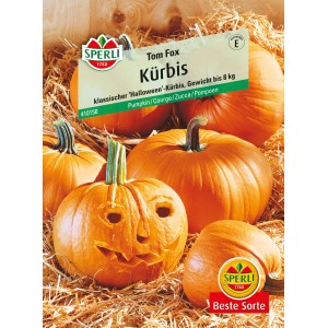 Samenpackung Sperli Kürbis Tom Fox, Halloween-Kürbis mit geschnitztem Gesicht und Kürbissen im Hintergrund.