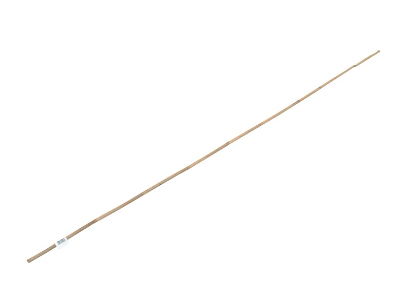 OBI Bambusstab 60 cm · Ø ca. 0,5 cm – Produktbild 1 von 2