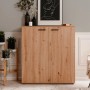 Furn.Design Schuhschrank Eiche Artisan 100 x 110 cm 2-türig 12 Fächer Logu_8